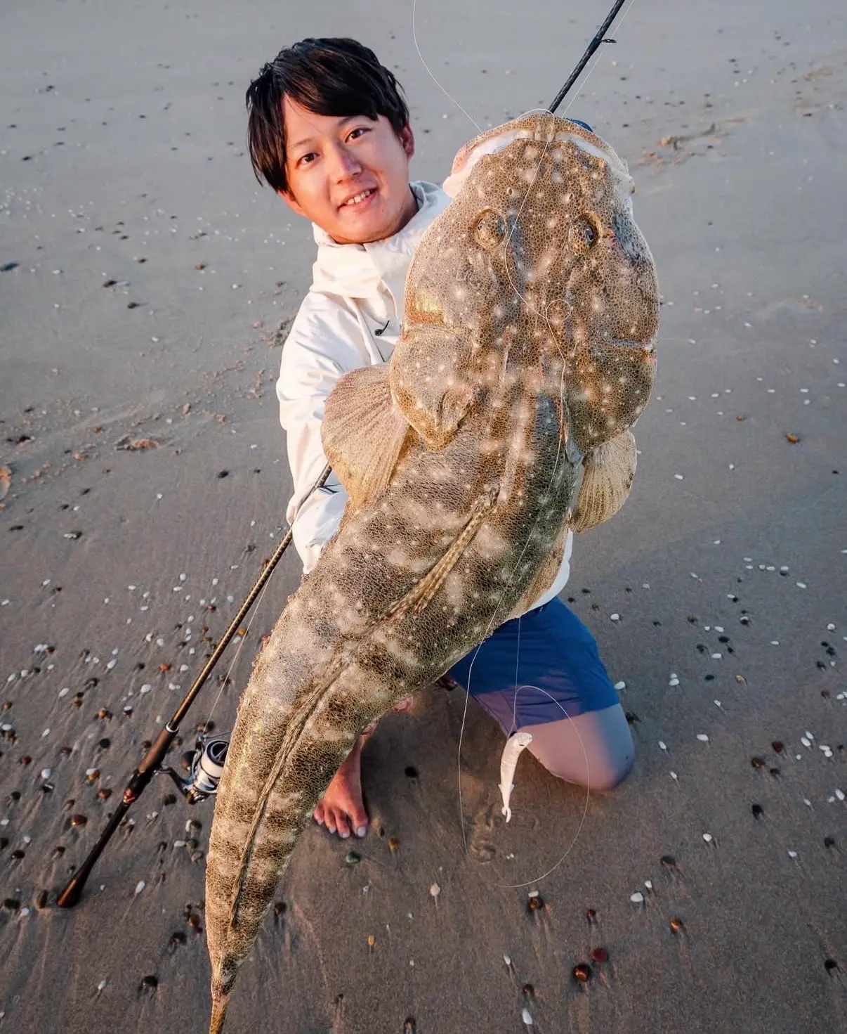 夕暮れの砂浜で巨大なフラットヘッドを抱えるマゴチハンター®伊勢隼人